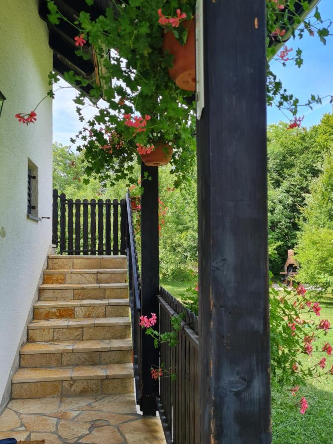 Apartman Poznanovic Apartment Rakovica Ngoại thất bức ảnh